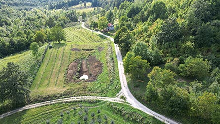 Umgeben von jahrhundertealten Wäldern